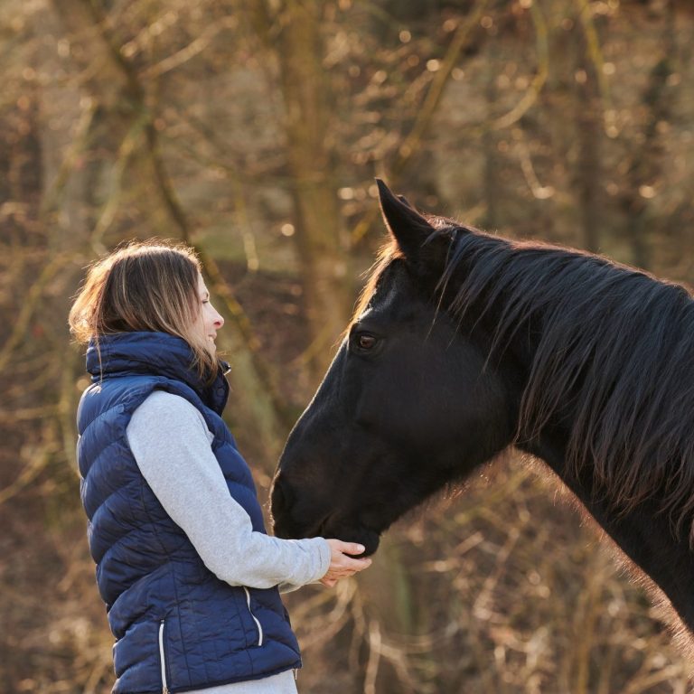 Horsebrain Coaching Denise Wiegand Eine Person steht neben einem schwarzen Pferd in einer natürlichen Umgebung.