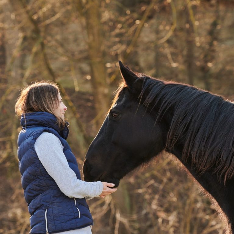 Frau in blauer Weste steht neben einem schwarzen Pferd in einer herbstlichen Landschaft.
